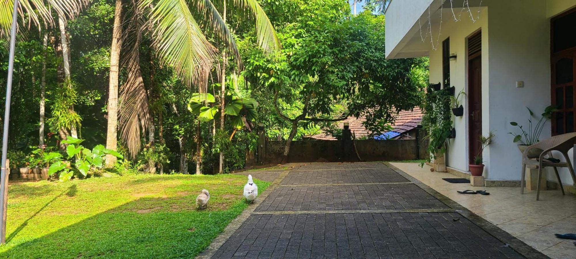 'Kolamba Gedara' Green Apartment Ruwanwella Eksteriør billede